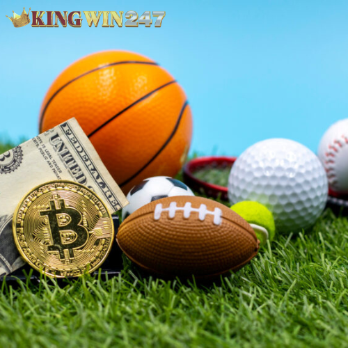 Agent Permainan Judi Bola Parlay Terpercaya di Pasaman Barat