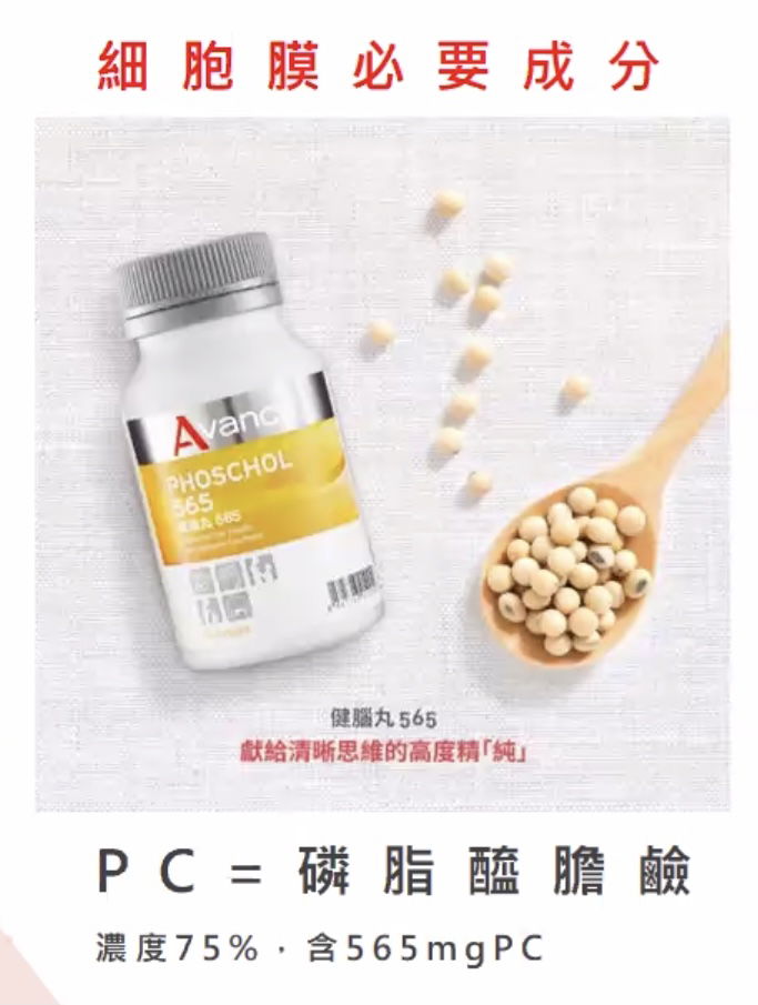 精純磷脂膠囊食品