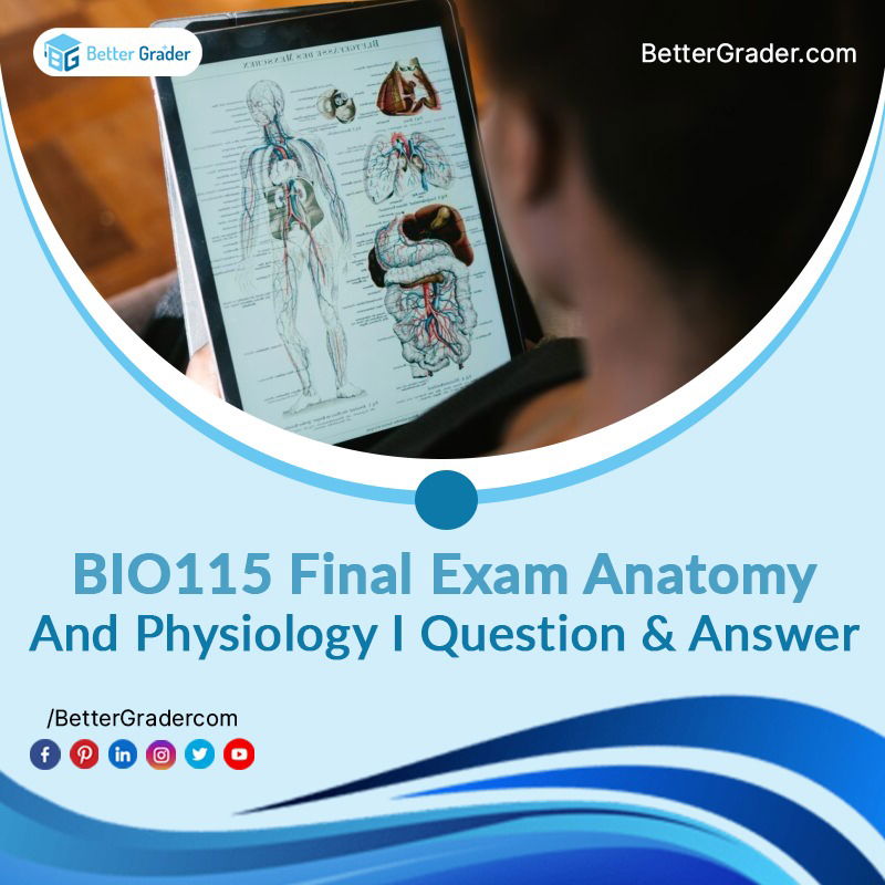 BIO115 Final Exam Anatomy And Physiology I Question & Answer