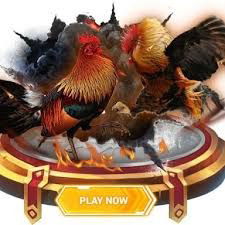 Situs Game Sabung Ayam Di Administrasi Jakarta Utara