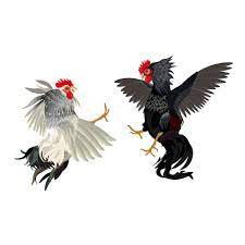 Apk Sabung Ayam Hasilkan Uang Di Administrasi Jakarta Timur