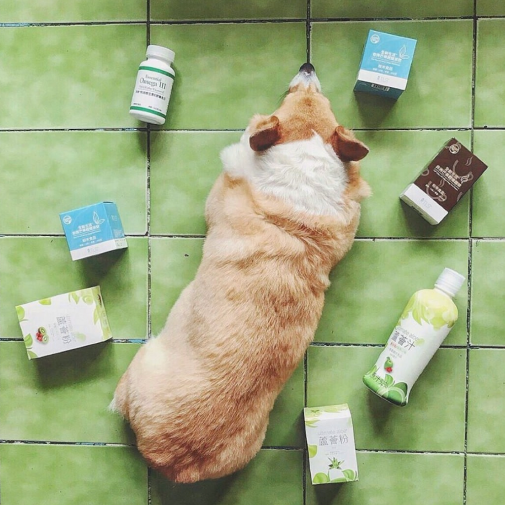 🇺🇸喝的點滴🧞‍♂️