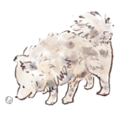 Animated Stickers 動起來的手繪動物夥伴們 – LINE貼圖 | LINE STORE