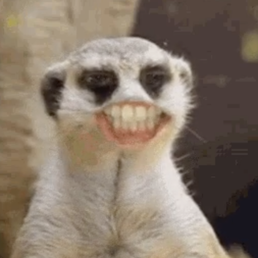 台灣凶宅搜查檔案