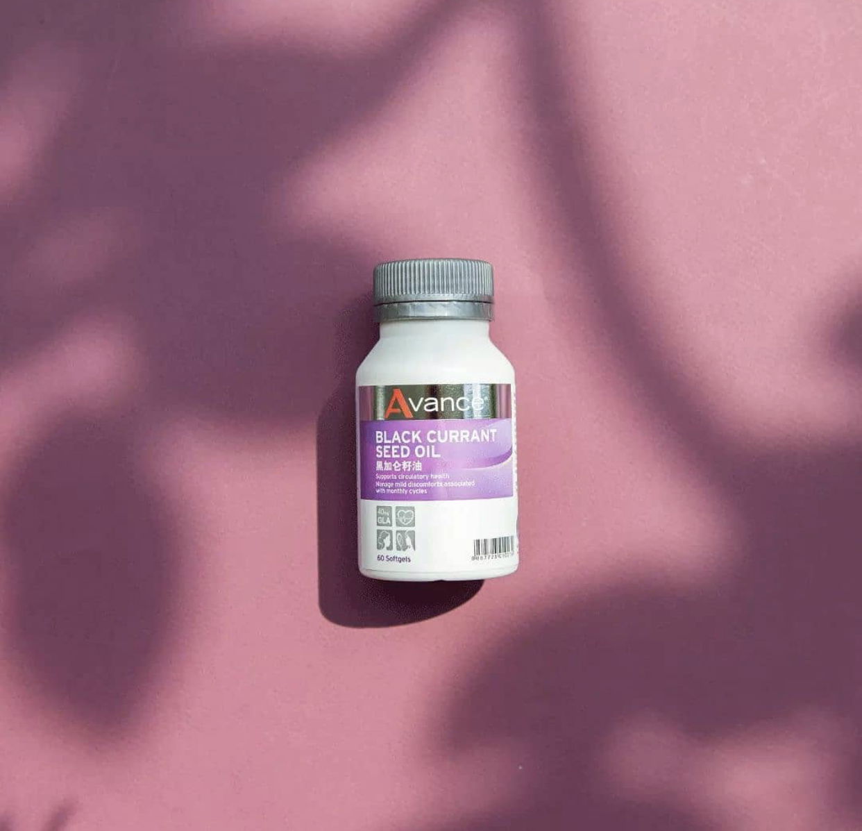 女性婦科必備   黑醋栗籽油膠囊 