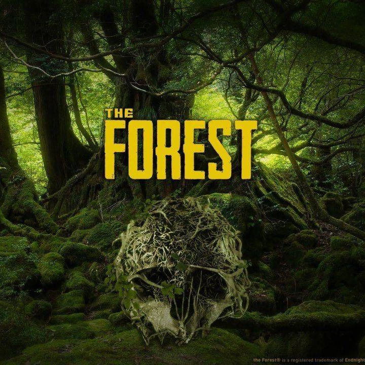 The forest PC