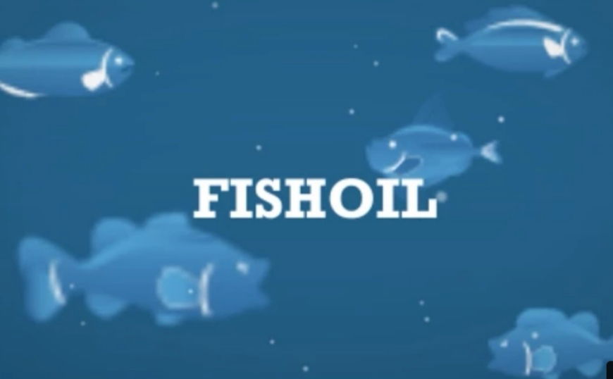 我們的腦需要補一補 !