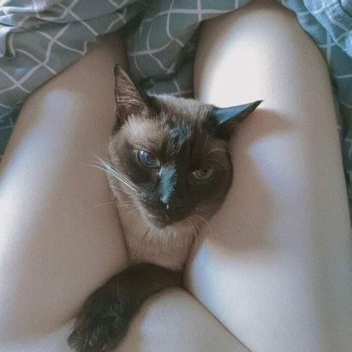 DAFTAR SITUS DEWA SLOT GAMPANG MENANG BONUS 100% 25 + 25