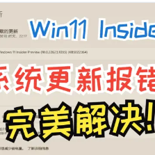 全网首发！完美解决Win11测试版更新报错更新失败问题的方法！速看！