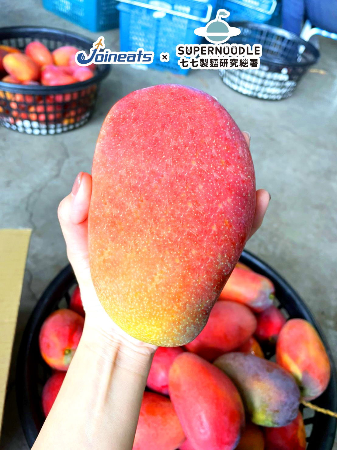 🥭 在一起 大芒果 五公斤 10-12粒外銷等級大果 訂購偶數盒享免運優惠!  現正特價中 NT$1,250