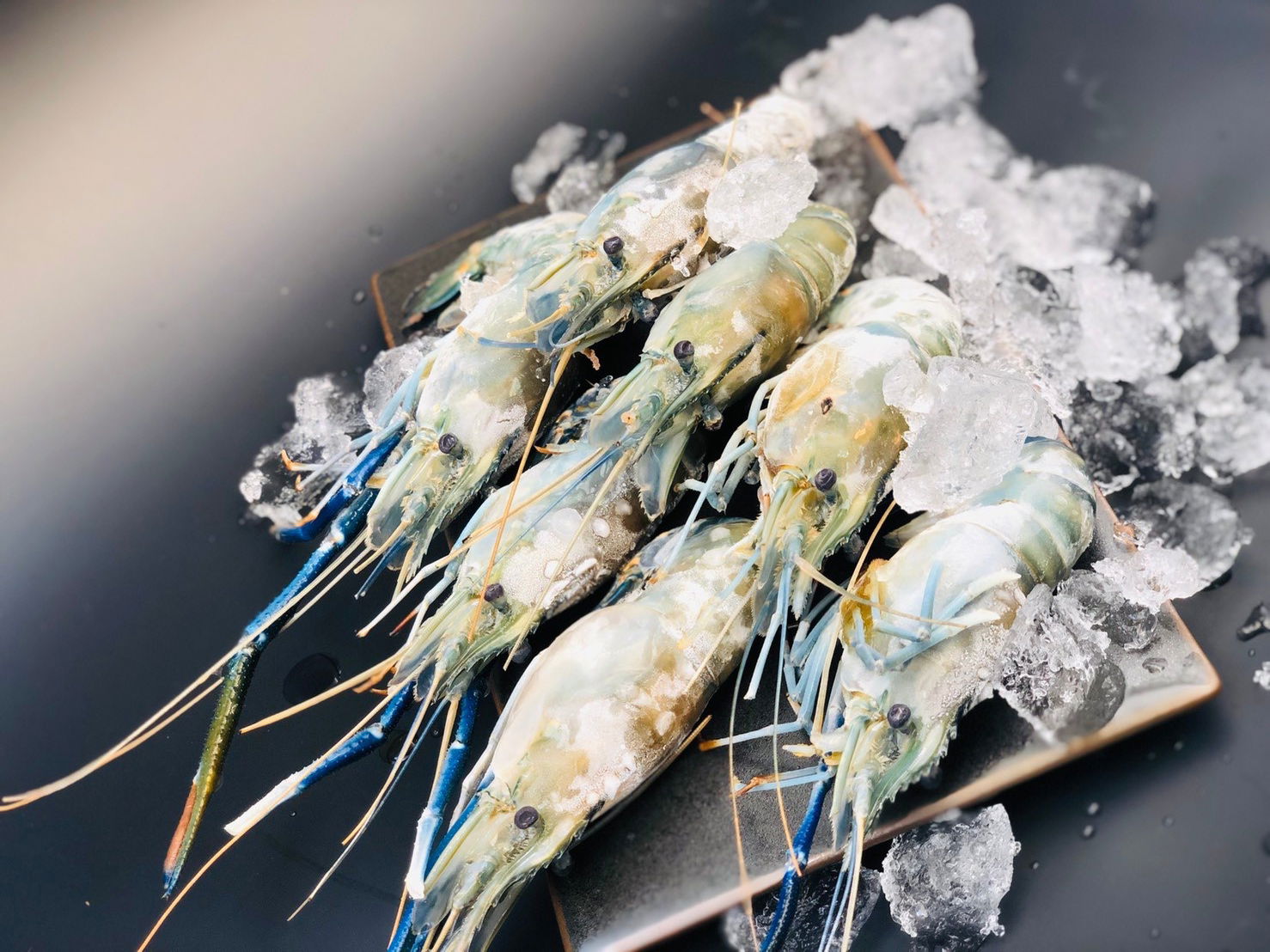 🦐 👩‍🦰 <全台> 高品質泰國大母蝦 一斤盒裝！ 首賣驚爆價每盒只要350元！