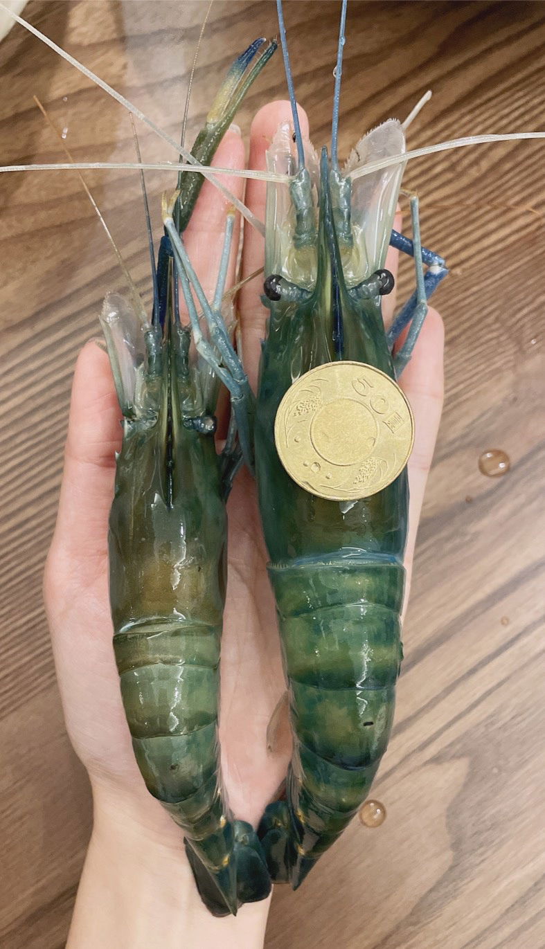 🦐👨‍🦱 <全台> 高品質泰國蝦 特大蝦公 一斤 盒裝！現正特價中 賣完截止 優惠價 380元起! 