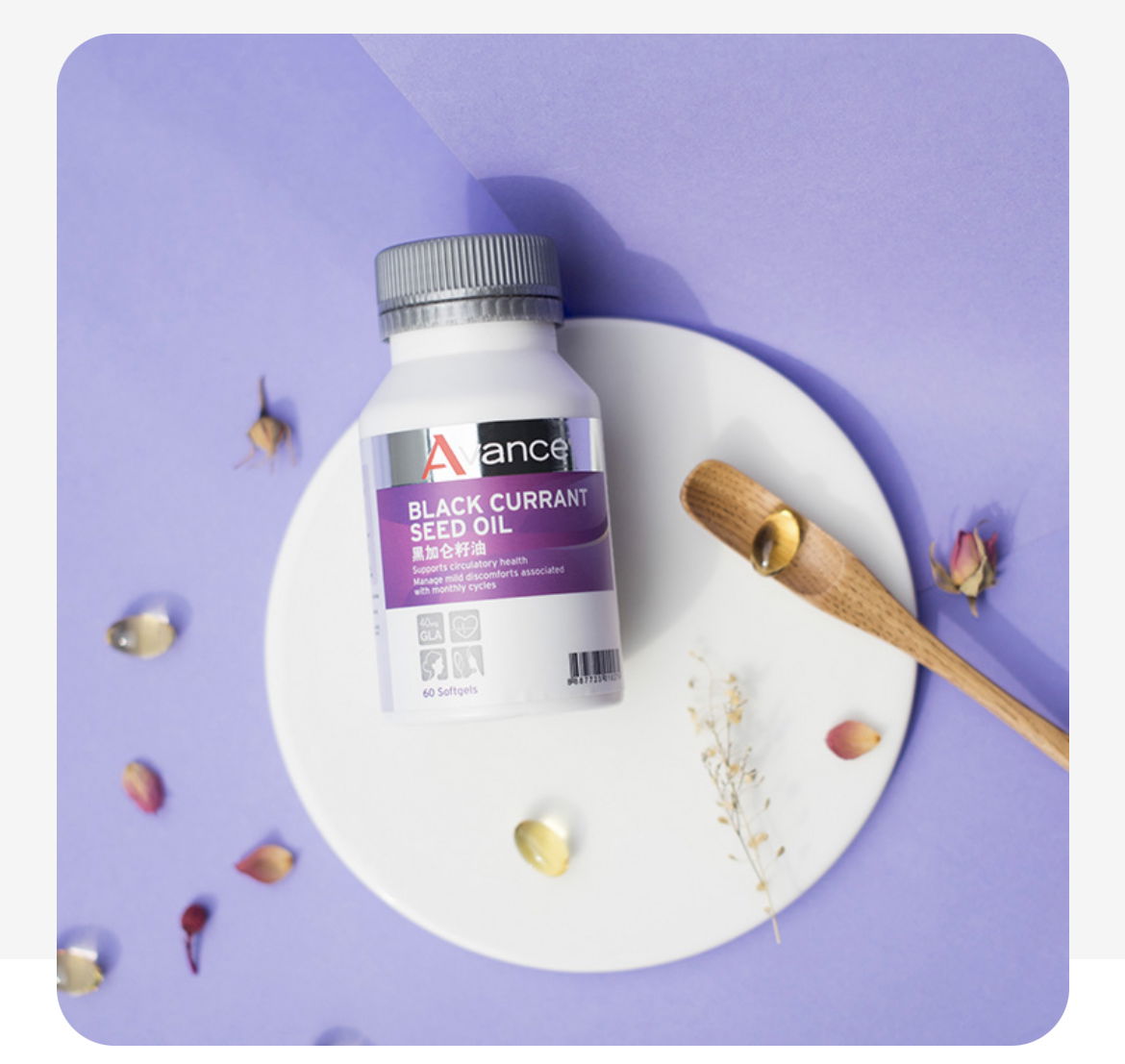 維格爾 黑醋栗籽油膠囊狀食品 