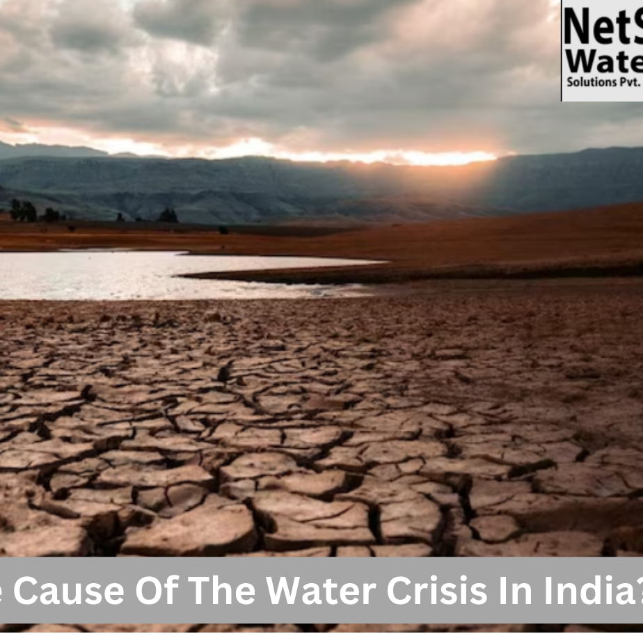 What Is The Cause Of The Water Crisis In India?