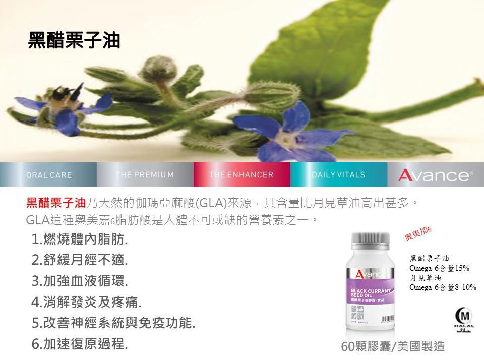 維格爾 黑醋栗籽油膠囊狀食品 