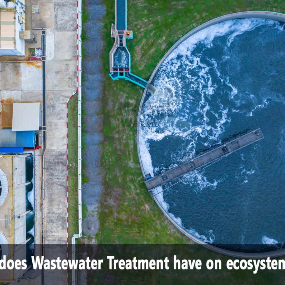 What impact does Wastewater Treatment have on ecosystems and Wildlife?