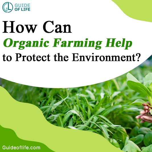 How Can Organic Farming Help to Protect the Environment?