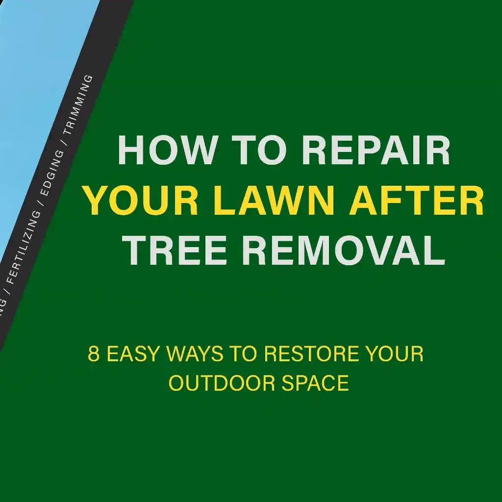 How to Repair Your Lawn After Tree Removal – 8 Easy Ways