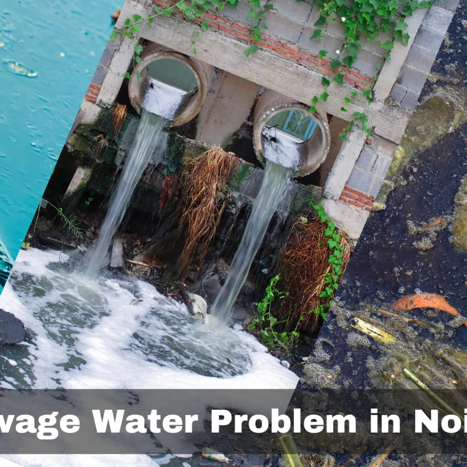 Sewage Water Problem in Noida?