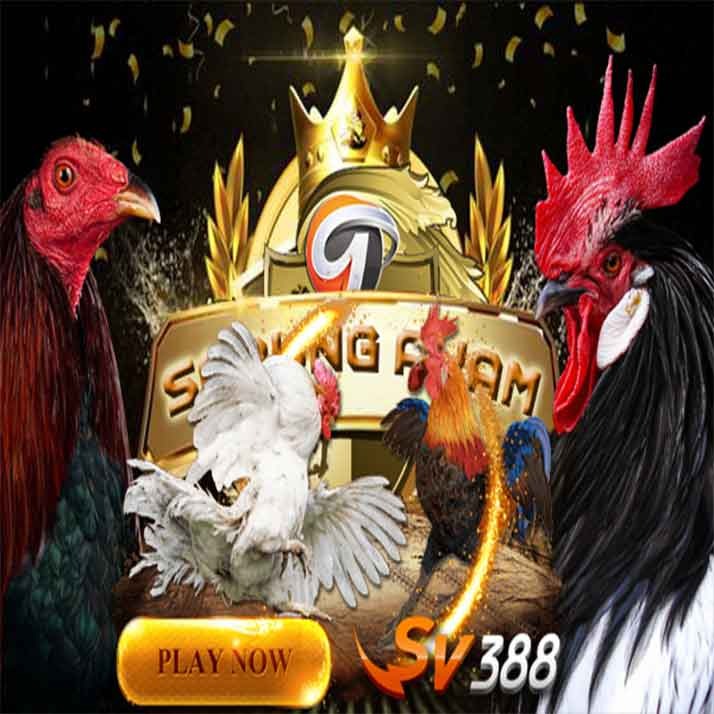  DAFTAR SV388 SABUNG AYAM ONLINE SV388 RESMI 24 JAM