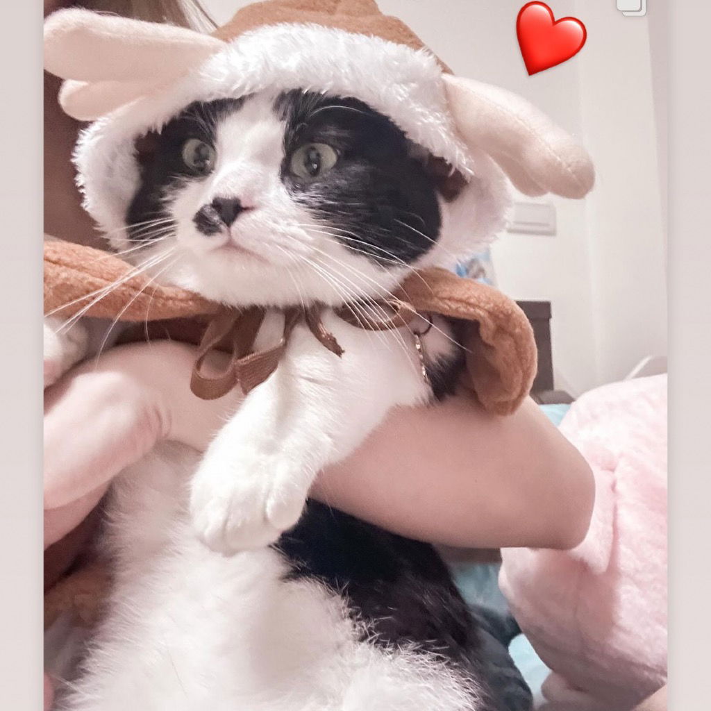 二手拍｜來這撿便宜✨