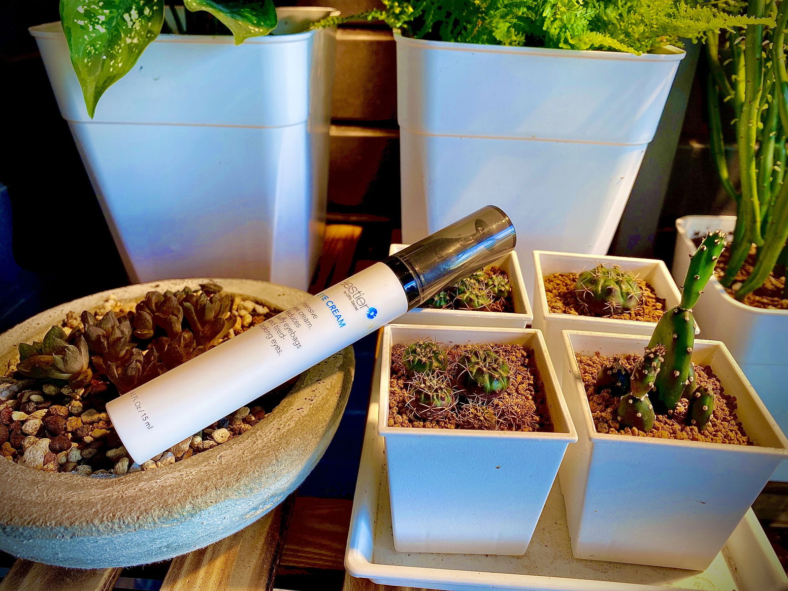 熙黛爾活奕眼霜