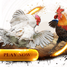 HEROBET168 👑 Situs Judi HEROBET 168 Online Resmi Terpercaya