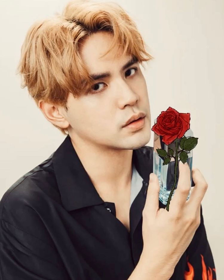 追蹤我的抖音大帳😽