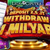 Facebook Ligaciputra