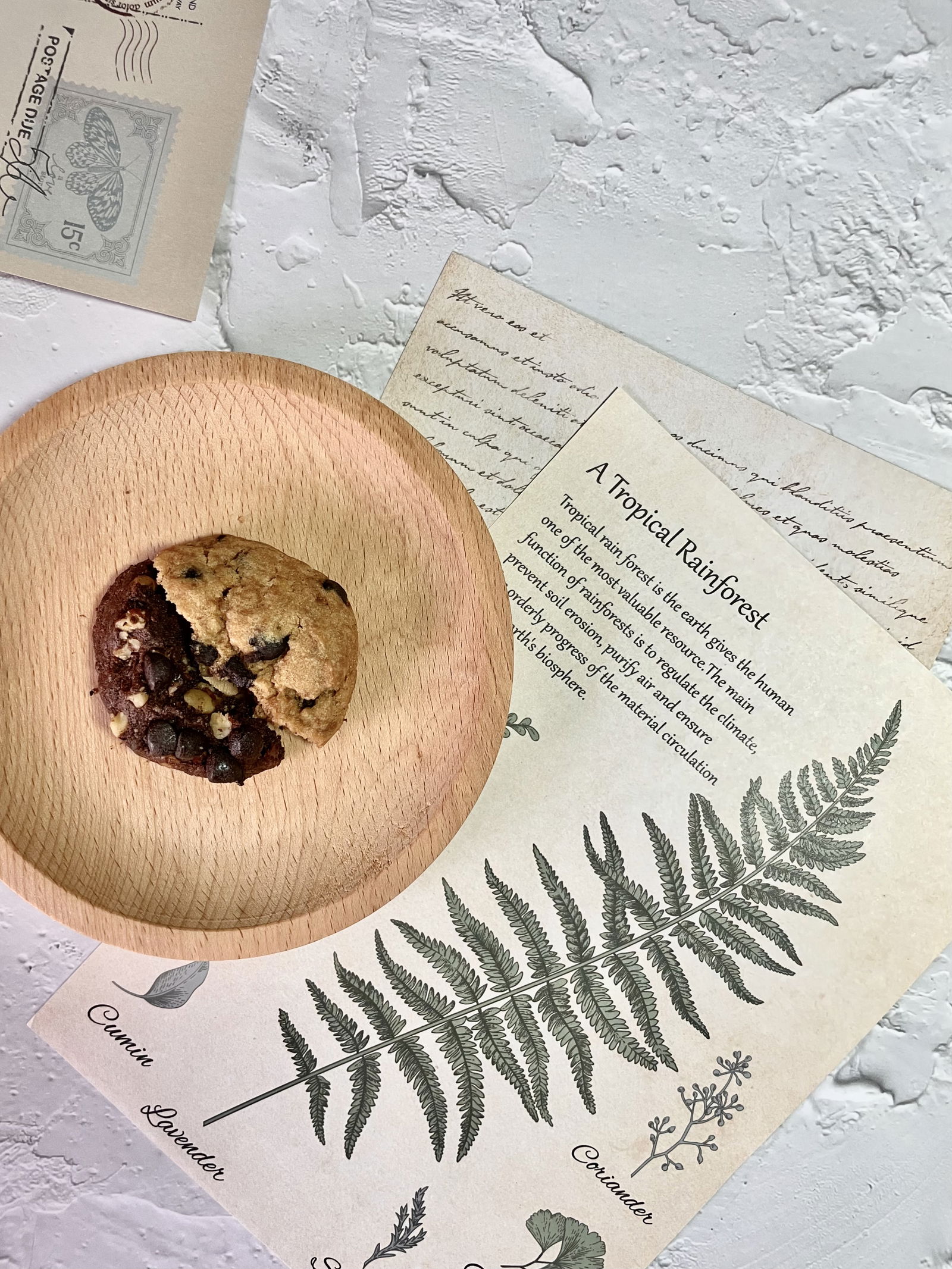 媽咪里啦手工餅乾。折扣碼「K092JELLY」