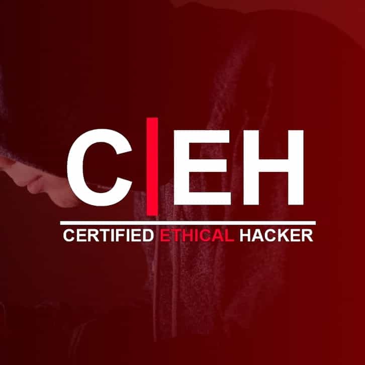 Securing the Future | Cyber Security Class in Delhi