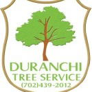 Palm Trees are the Most Common Trees We Trim in Las Vegas