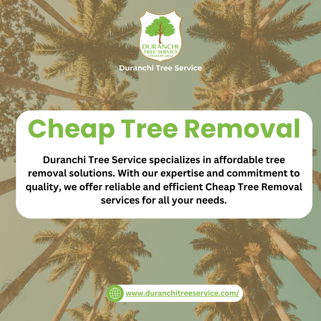 Budget-Friendly Tree Care: Expert Solutions for Cheap Tree Removal