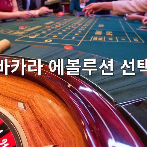 바카라 에볼루션 선택