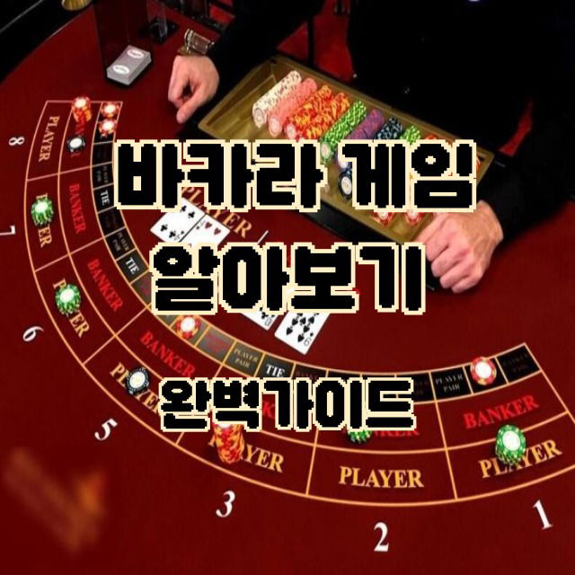 바카라 게임에 대해 알아보기: 완벽 가이드