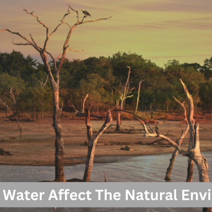 How Does Water Affect The Natural Environment ?