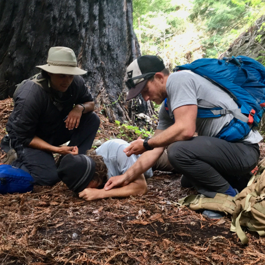 First Aid Guide For Snake Bites And Insect Stings In The Wilderness