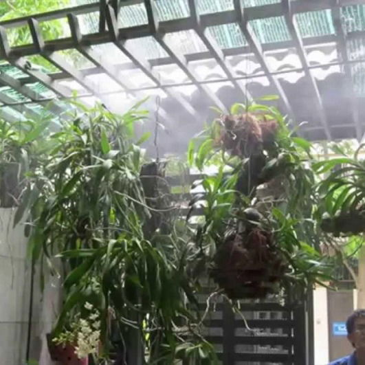 Cách lắp đặt dàn phun sương tưới lan