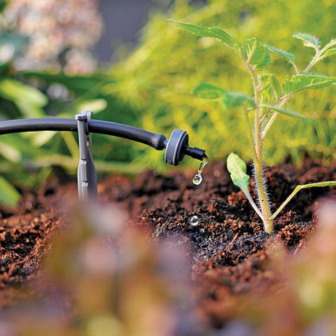 Hệ Thống Tưới Nhỏ Giọt Là Gì?