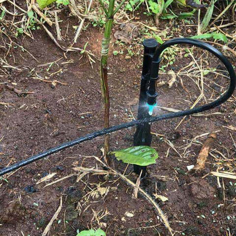 cách làm hệ thống tưới phun mưa