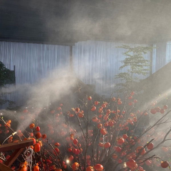 Lắp Đặt Hệ Thống Phun Sương Tại Quận 12