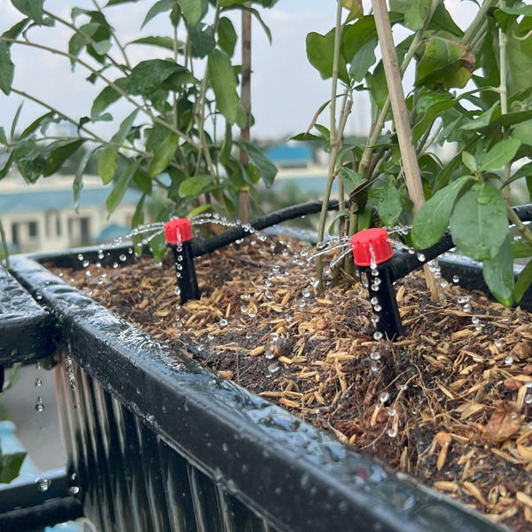 Hệ Thống Tưới Tự Động Ban Công Chung Cư, Sân Thượng