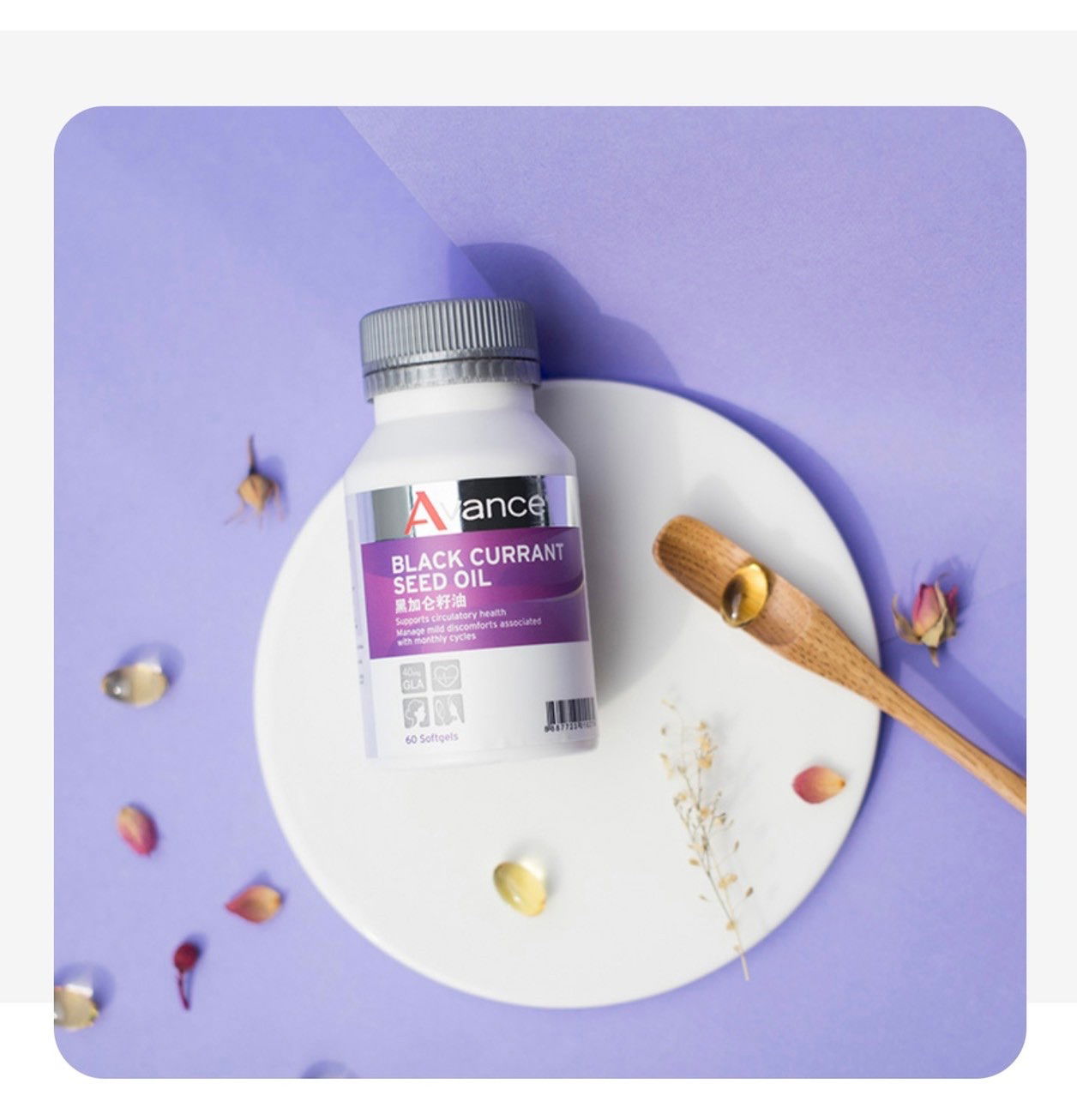 維格爾 黑醋栗籽油膠囊狀食品 