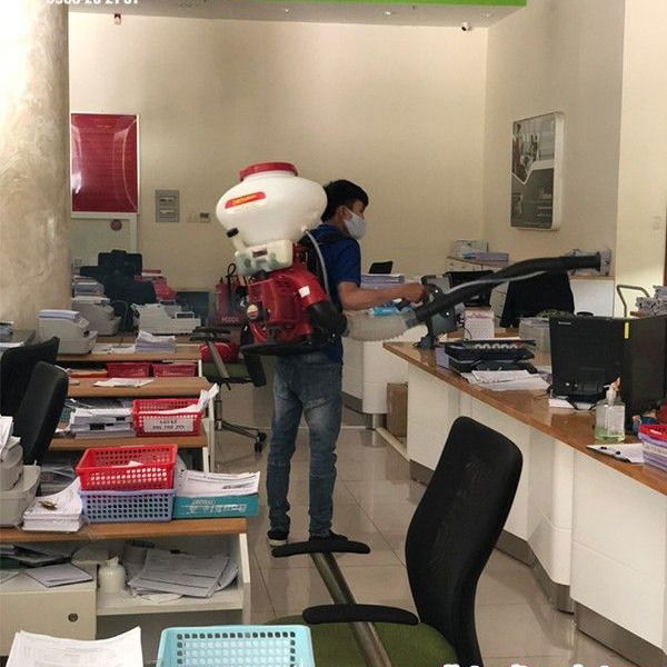 Diệt mối tận gốc tại Quận 1 Uy Tín, Giá Rẻ TPHCM