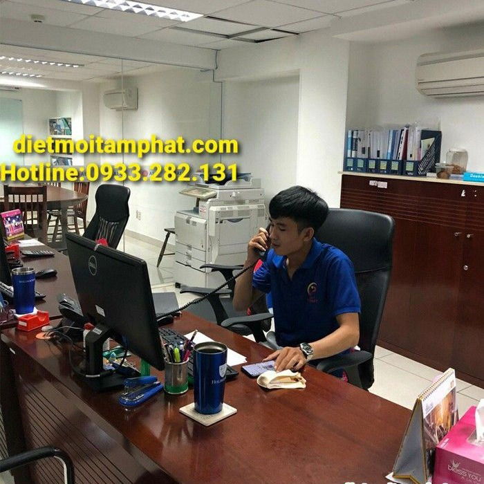 Diệt mối tận gốc tại Quận 2 An Toàn, Giá Rẻ Nhất