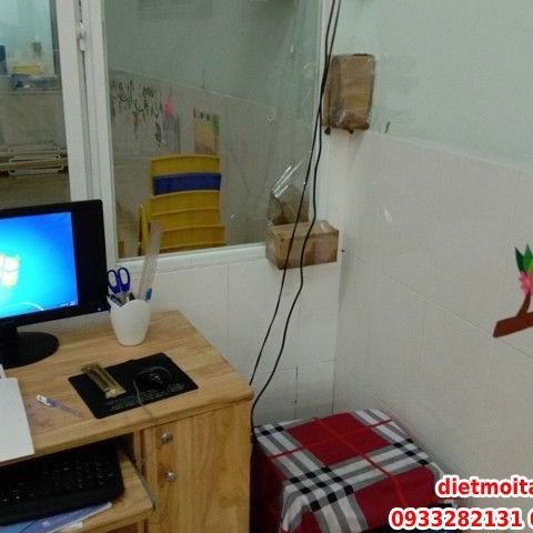 Diệt mối tận gốc tại Quận 3 Chuyên nghiệp 