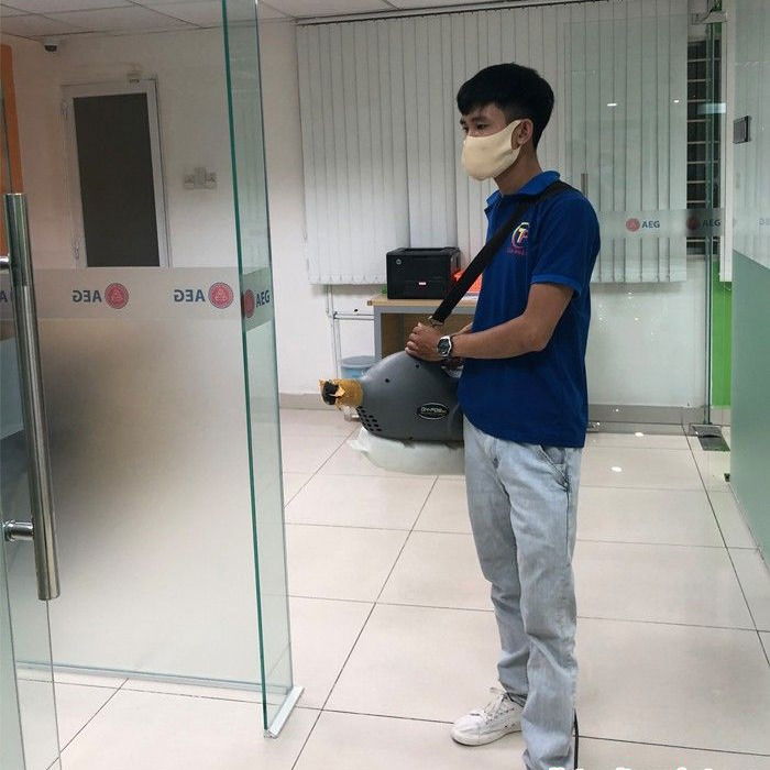 Diệt mối tận gốc tại Quận 11 Giá Tốt, Uy Tín Nhất