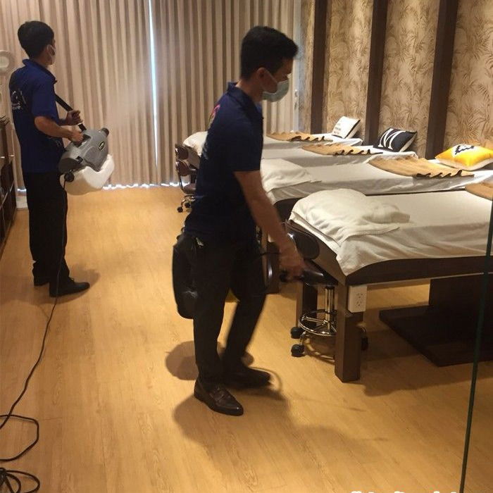 Diệt mối tận gốc tại Quận Tân Bình Giá Rẻ Nhất