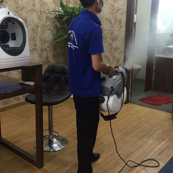 Diệt mối tận gốc tại Hóc Môn Chất Lượng, Uy Tín