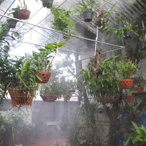 Lắp Đặt Hệ Thống Dàn Phun Sương Tưới Lan Tự Động